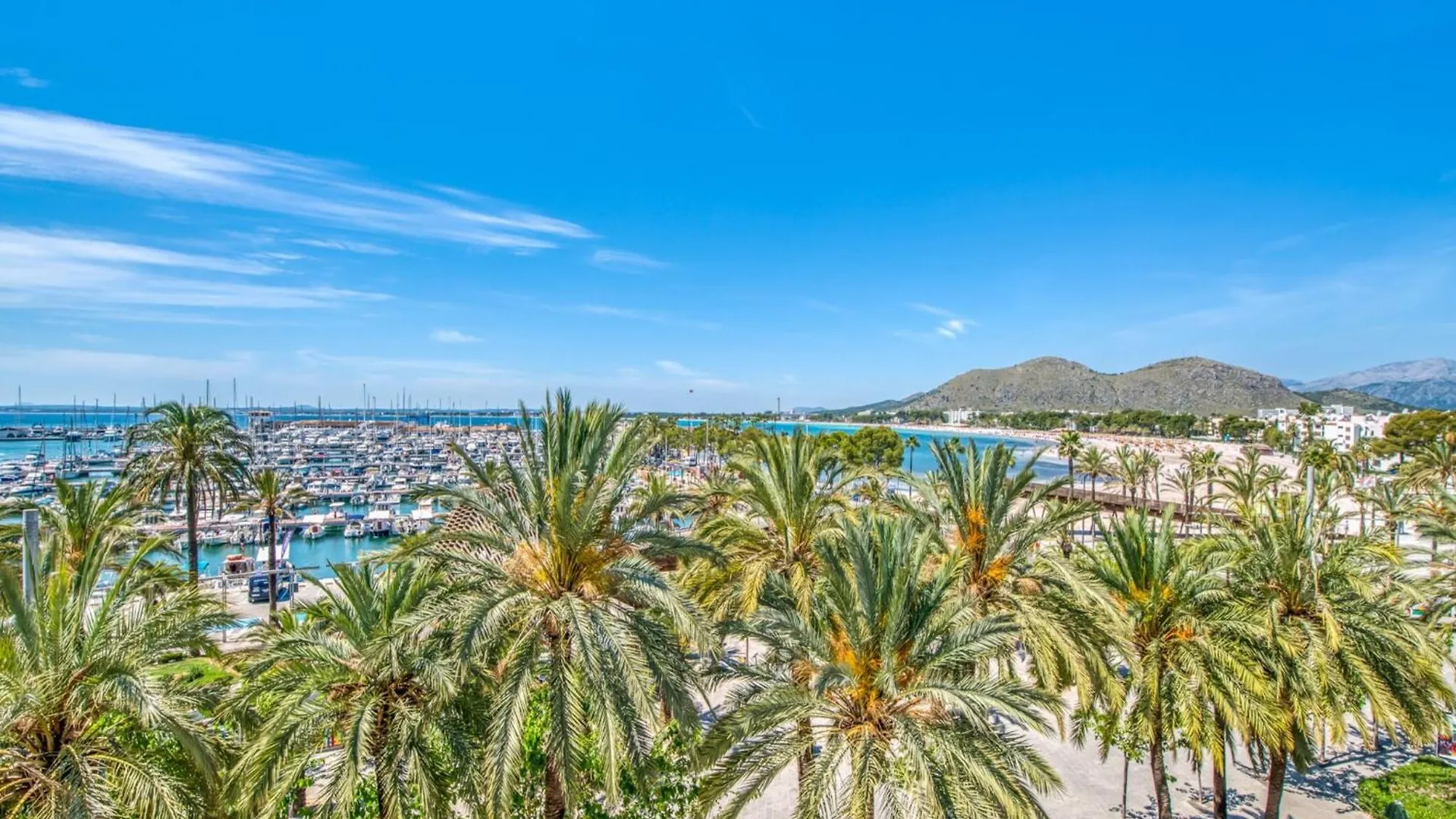 Apartment In Alcudia Near Alcudia Beach
